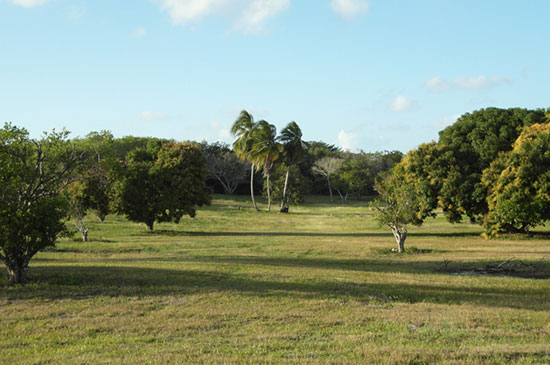 View of Progresso Heights Community